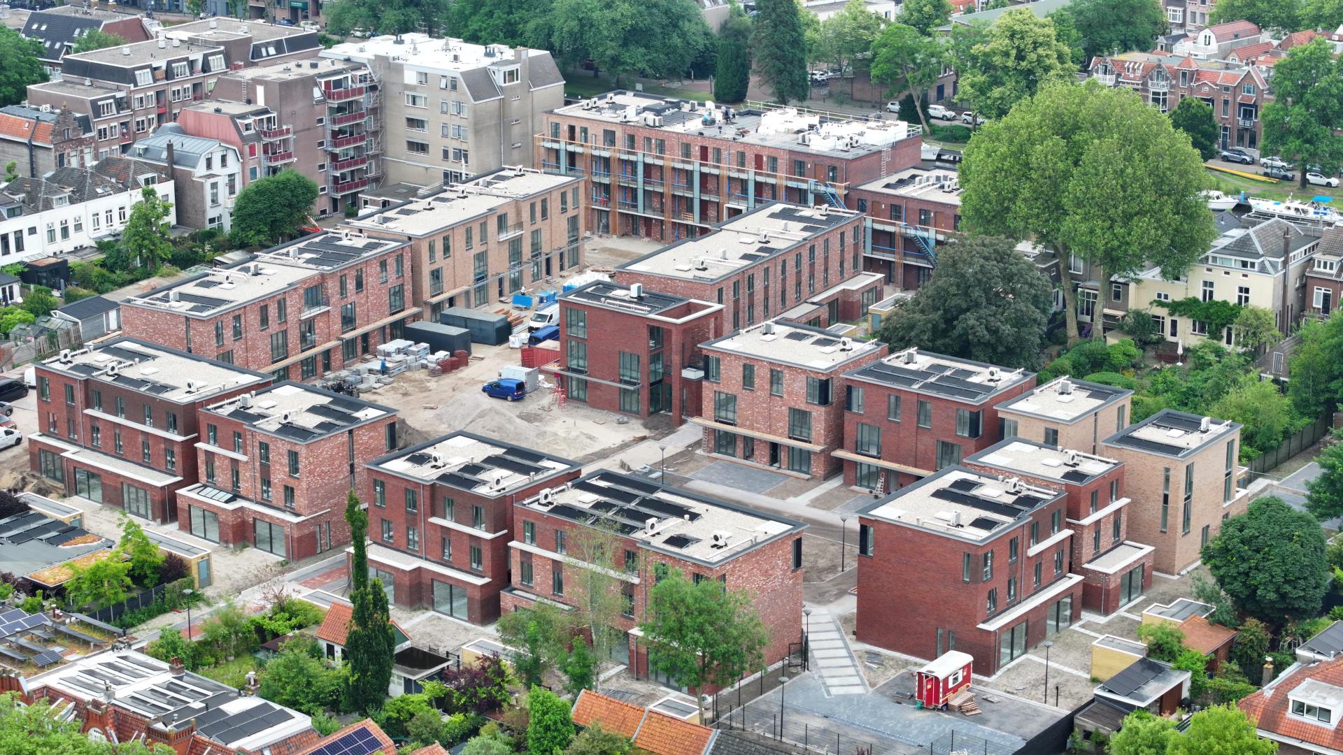 De Blaauwe Haan